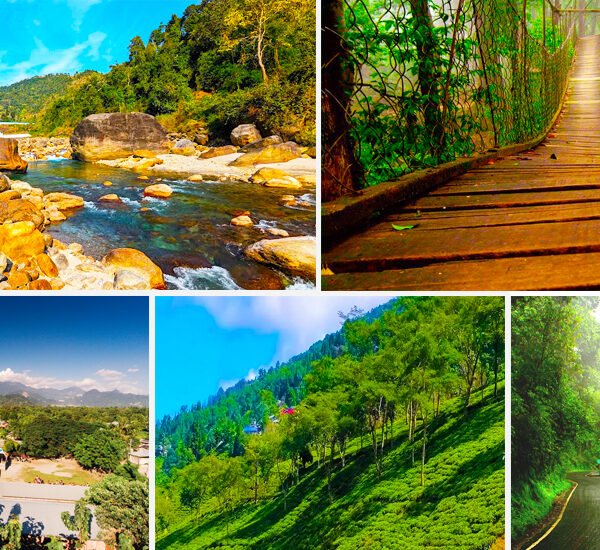 1714035429visit-offbeats-in-north-bengal-lg